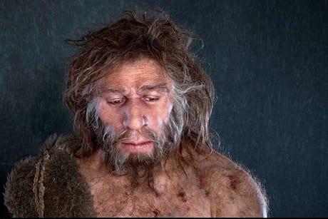 neanderthal